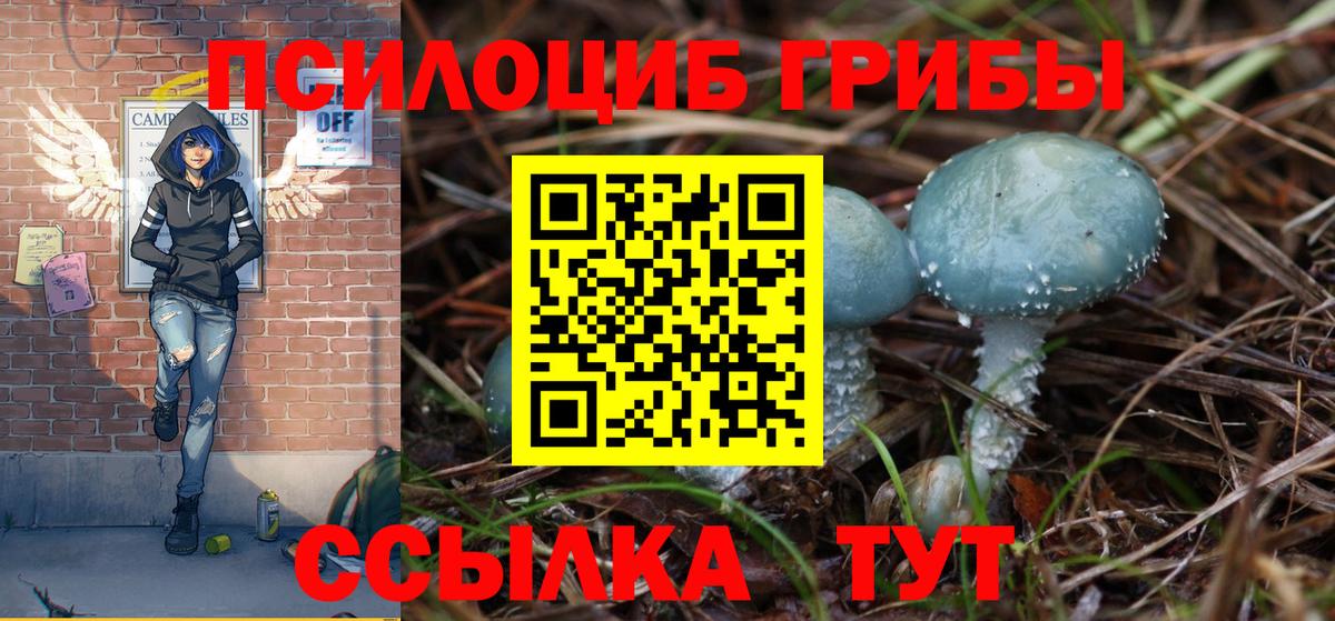 Галлюциногенные грибы MAGIC MUSHROOMS  Вход с VPN  Нягань  Псилоцибиновые грибы мухоморы 