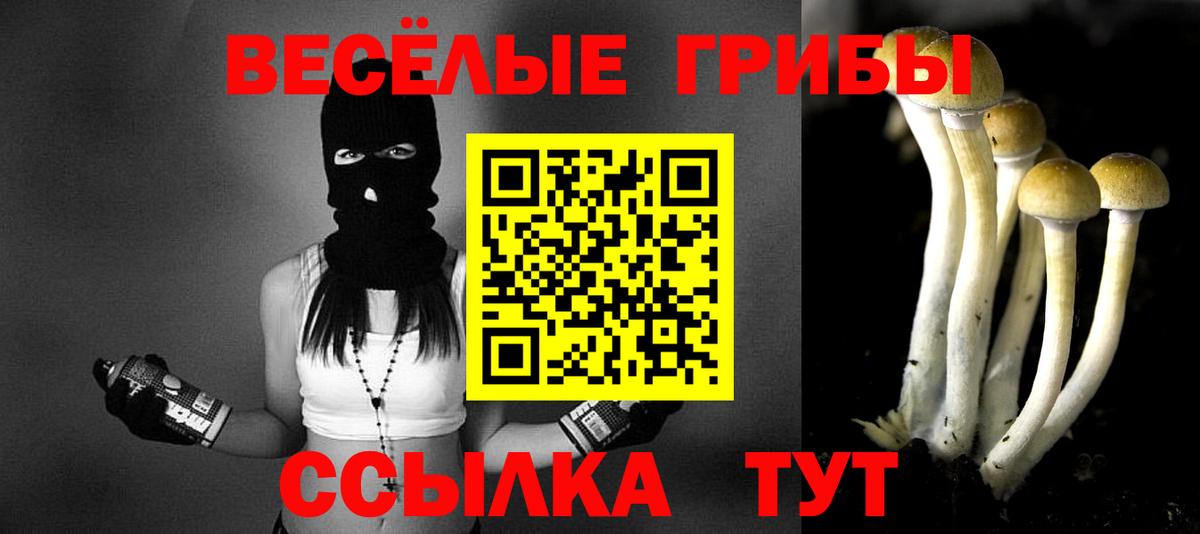 Галлюциногенные грибы GOLDEN TEACHER Нягань